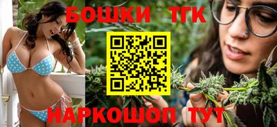 соль ск Партизанск