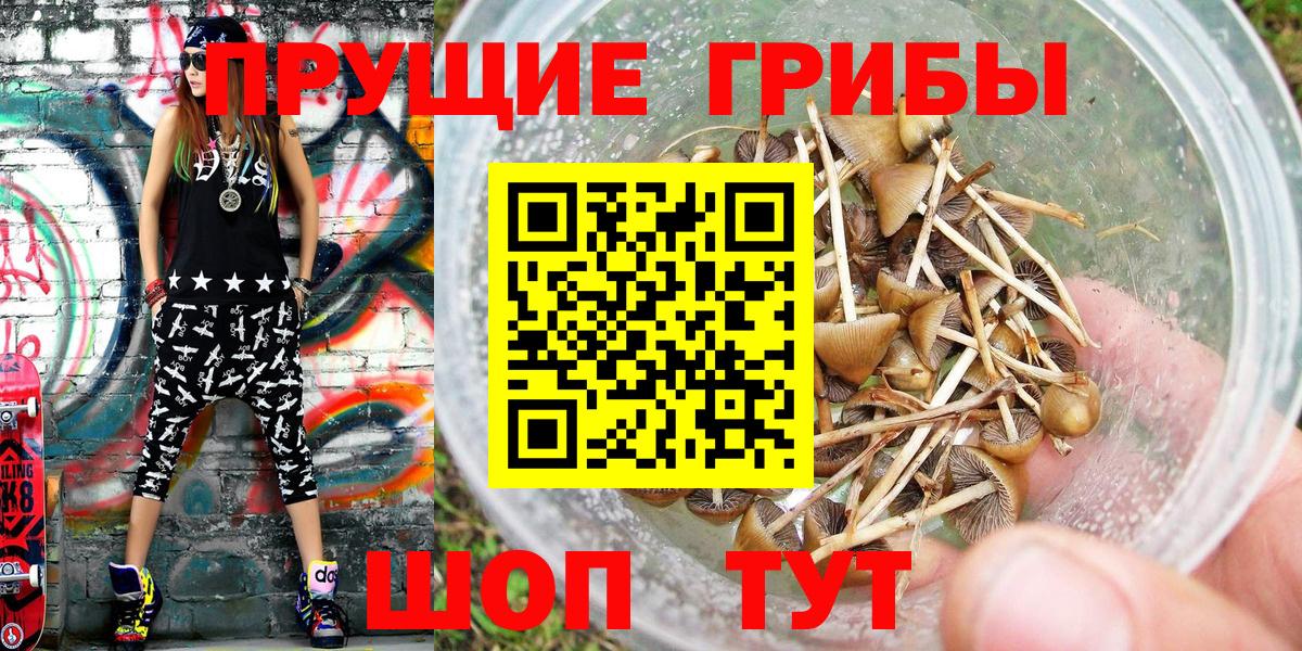 Галлюциногенные грибы MAGIC MUSHROOMS Спасск-Дальний