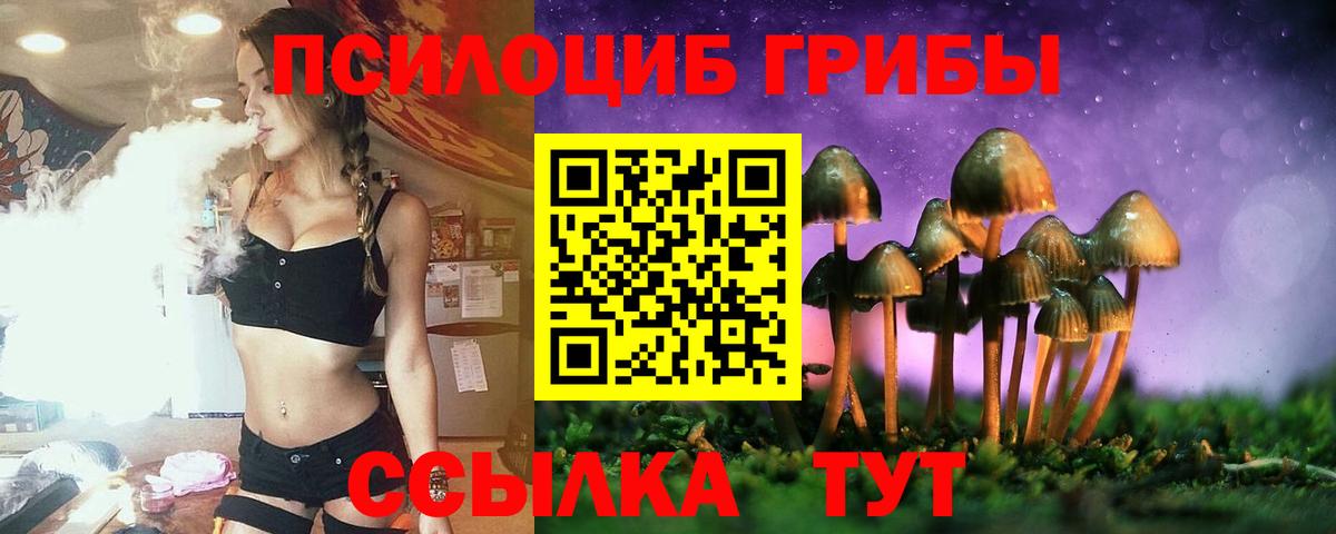 Галлюциногенные грибы Psilocybine cubensis  где купить наркоту  Спасск-Дальний  Вход с VPN  Псилоцибиновые грибы мицелий 